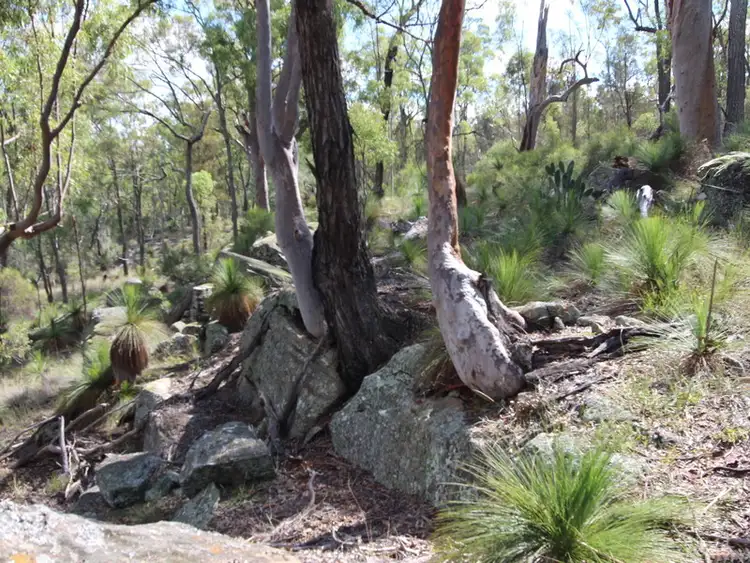 Fourth view of Homely land listing, 67 May Road, Clifton QLD 4361