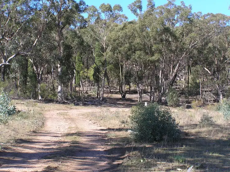 Main view of Homely rural property listing, 2 of DP 1028319/12100 Golden Highway, Uarbry NSW 2329