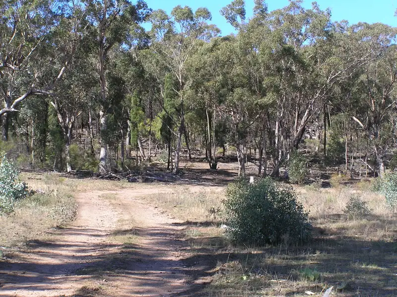 Main view of Homely rural property listing, 2 of DP 1028319/12100 Golden Highway, Uarbry NSW 2329