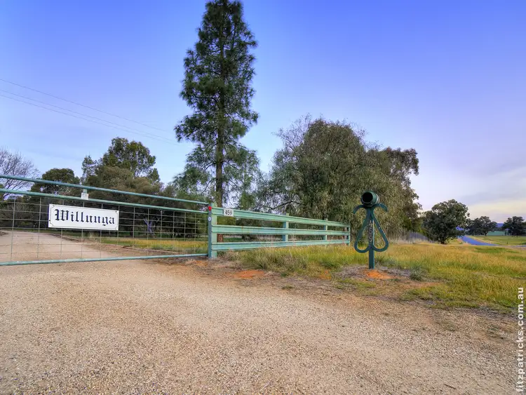 Sixth view of Homely rural property listing, 459 Mitchell Road, Lake Albert NSW 2650