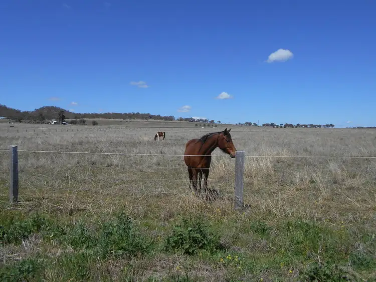 Fourth view of Homely rural property listing, 11 Gwynne Rd., Allora QLD 4362
