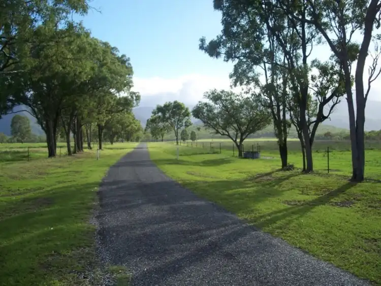 Second view of Homely rural property listing, 133 East Mary Road, Mount Carbine QLD 4871