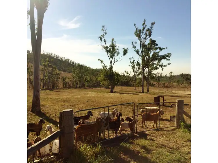 Fifth view of Homely land listing, LOT 4, 487 Bungundarra, Bungundarra QLD 4703