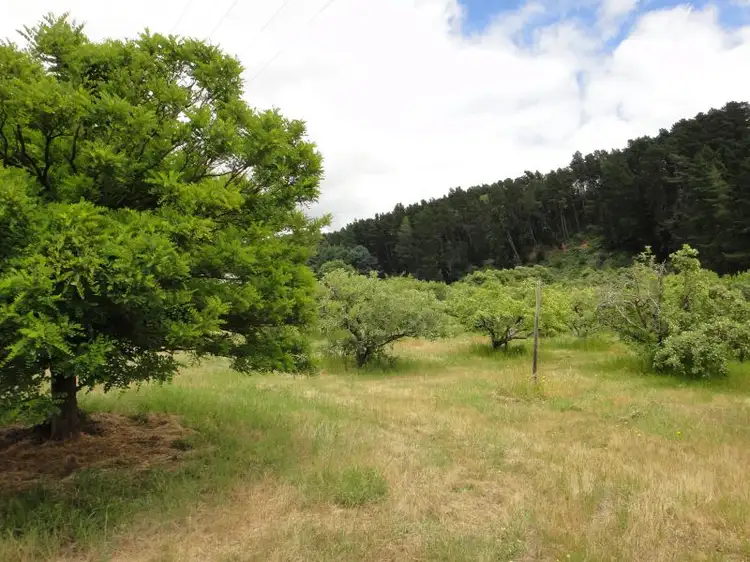 Second view of Homely rural property listing, 73 Swamp Road, Lenswood SA 5240