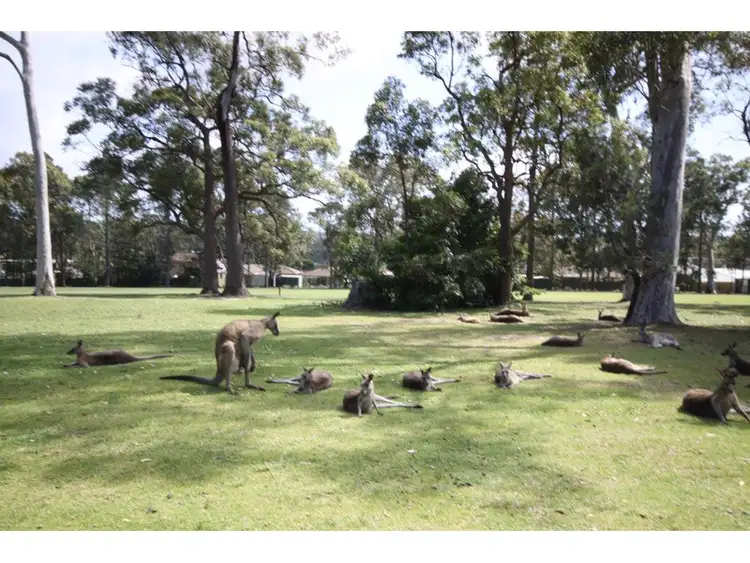 Fourth view of Homely house listing, 77 Waratah Crescent, Sanctuary Point NSW 2540