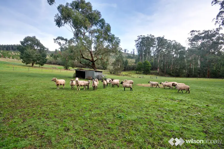 983 Merrimans Creek Road, Gormandale VIC 3873