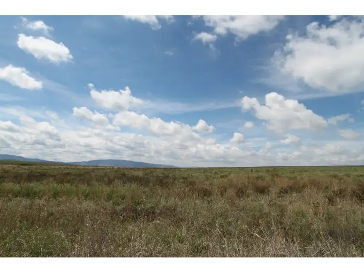 Fourth view of Homely rural property listing, 71 Harris Street, Raglan NSW 2795