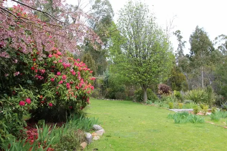 Third view of Homely rural property listing, 2700 Mansfield Whitfield Road, Tolmie VIC 3723