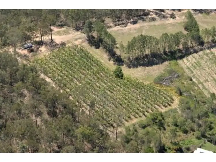 Third view of Homely rural property listing, 10 Smiths Road, Kurwongbah QLD 4503