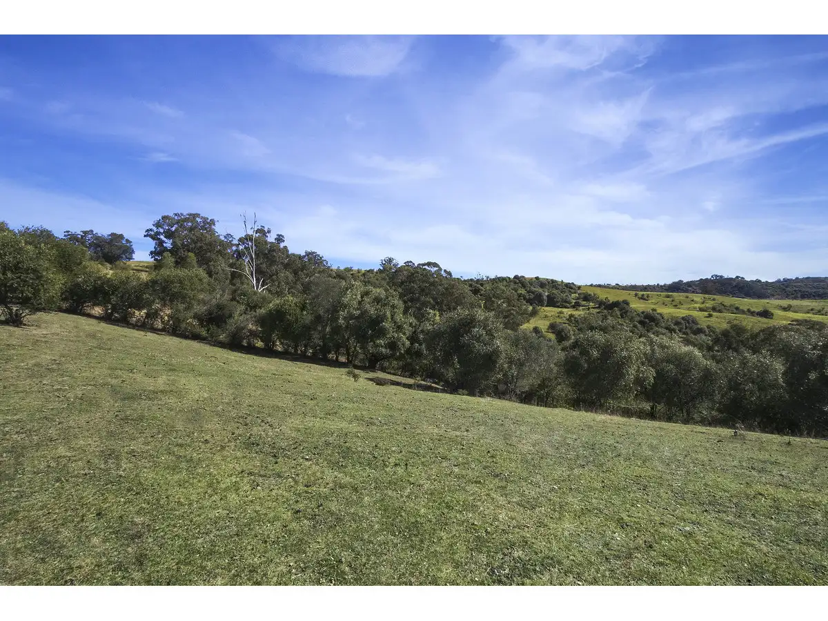 Main view of Homely rural property listing, 511 Calf Farm Road, Mount Hunter NSW 2570