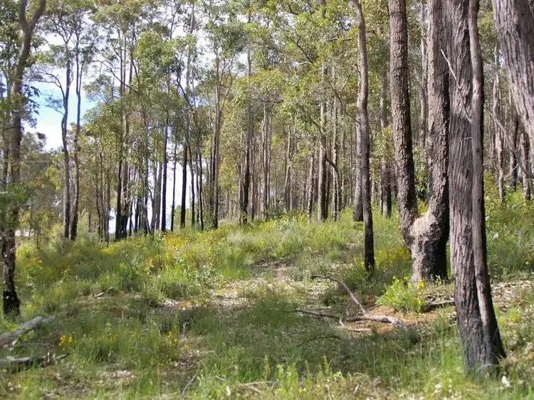 Fourth view of Homely land listing, 51 Carey Street, Nannup WA 6275