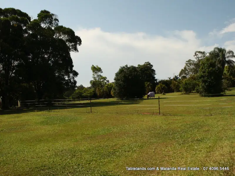 Main view of Homely land listing, LOT L668/Lot 31, 169 Lakes Drive, Lake Eacham QLD 4884