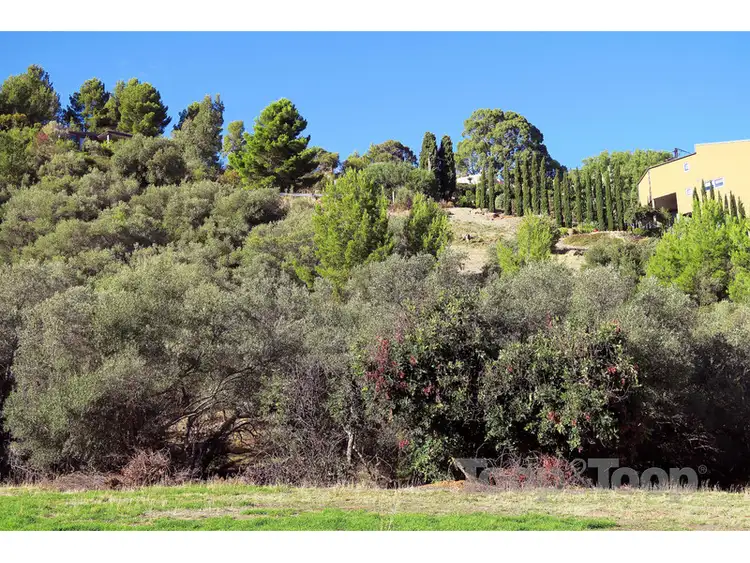 Fourth view of Homely land listing, 19 Chapman Crescent, Glen Osmond SA 5064