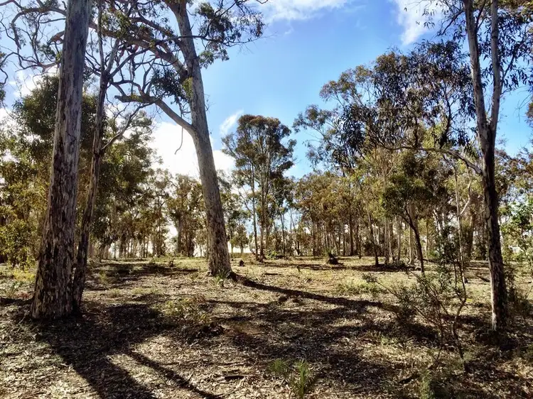 46 Darwinia Crescent, Toodyay WA 6566