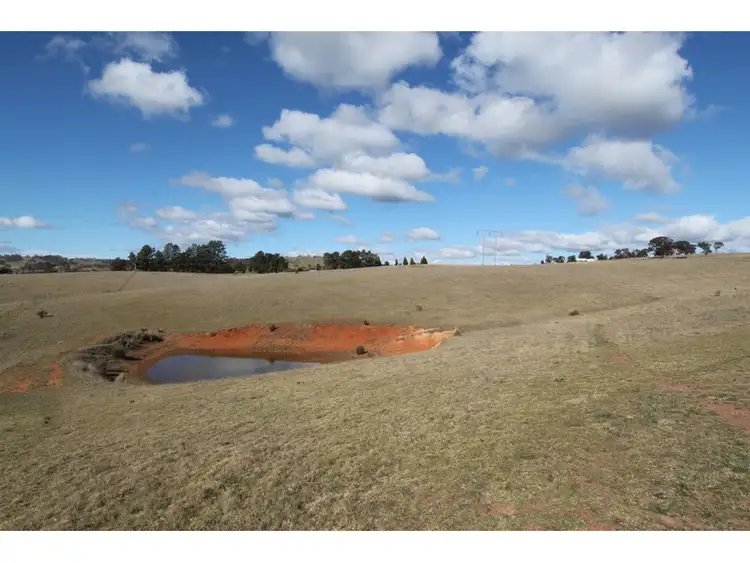 Main view of Homely rural property listing, 260 Curly Dick Road, Meadow Flat NSW 2795