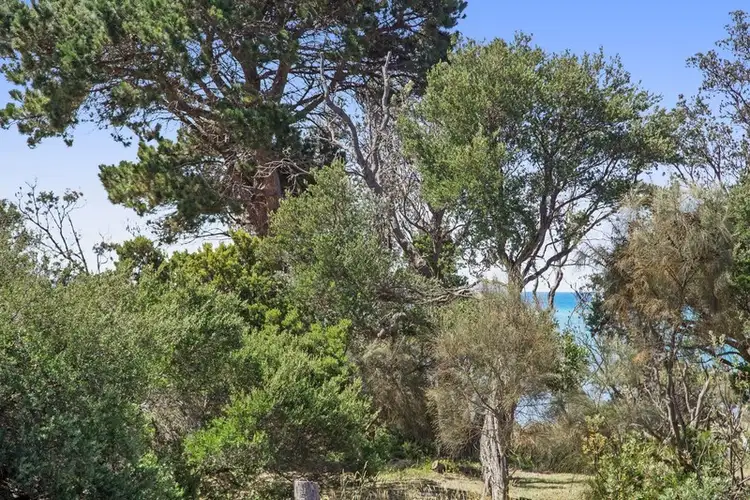 Fifth view of Homely house listing, 1955 Point Nepean Road, Tootgarook VIC 3941