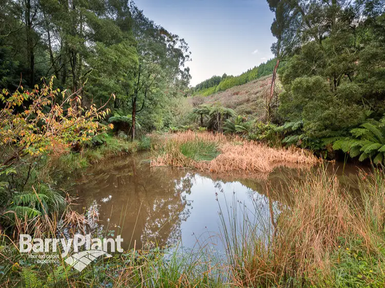 Third view of Homely land listing, 203 Belgrave Gembrook Road, Menzies Creek VIC 3159