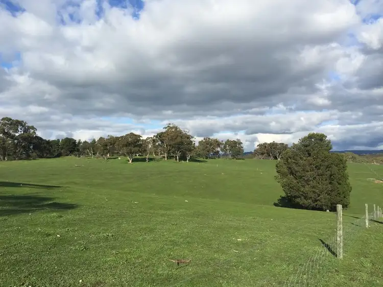 Fifth view of Homely rural property listing, 8 Harveys Quarry Road, Williamstown SA 5351