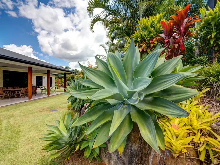 Sixth view of Homely house listing, 15 Elandra Terrace, Pomona QLD 4568