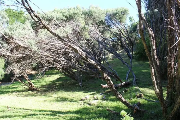 Second view of Homely land listing, 5 Douglas Court, Rye VIC 3941