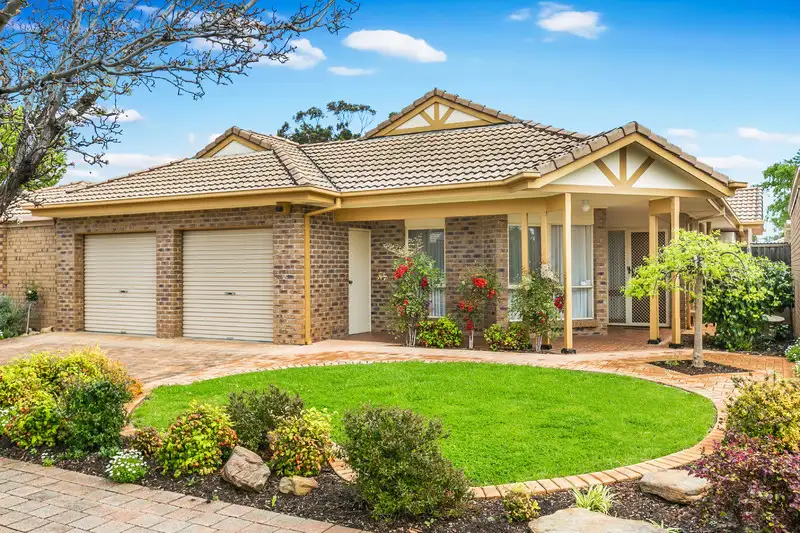 Main view of Homely house listing, 13 Peppertree Grove, Oaklands Park SA 5046