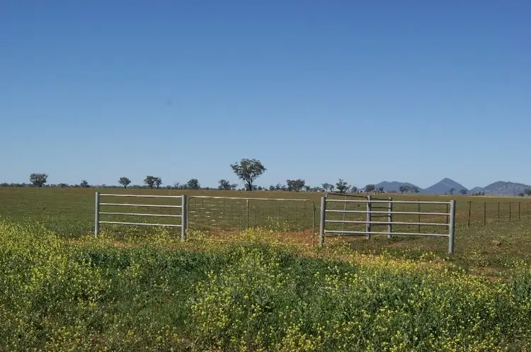 Third view of Homely rural property listing, - Ridds Lane, Tamworth NSW 2340