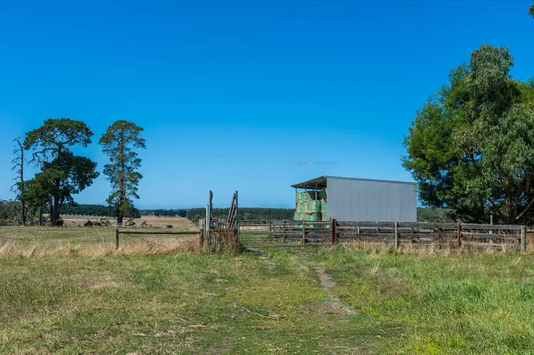 Fourth view of Homely rural property listing, 765 Tomahawk Creek Road, Irrewillipe VIC 3249