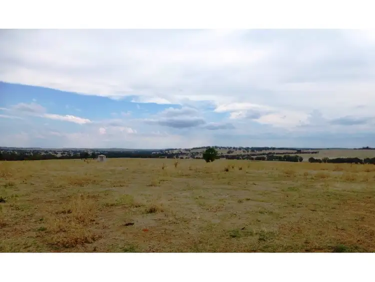 Second view of Homely rural property listing, 304 Norah Creek Road, Molong NSW 2866