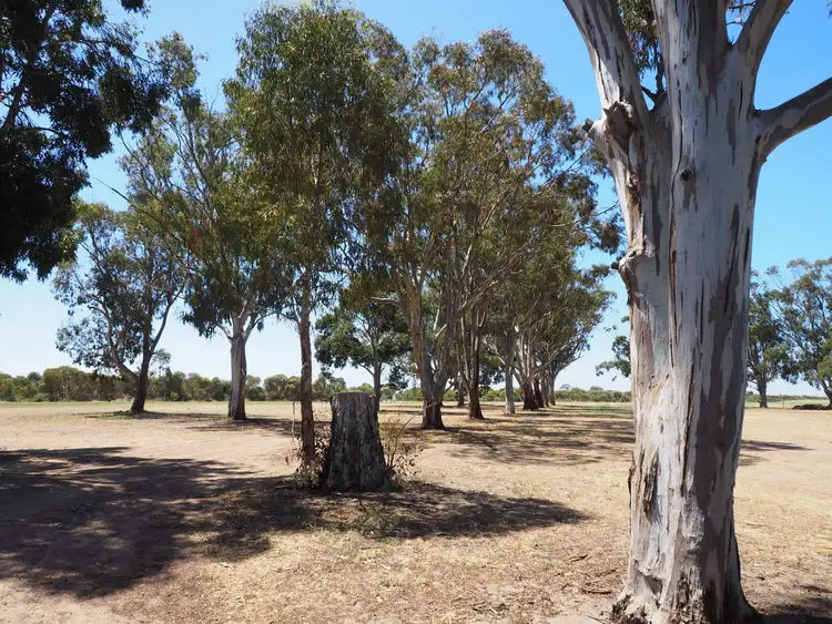 Fourth view of Homely rural property listing, 93 Yorkies Gully Road, Wangary SA 5607