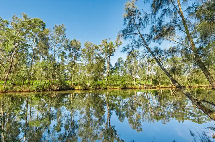 Main view of Homely house listing, 14 River Street, Springfield NSW 2250