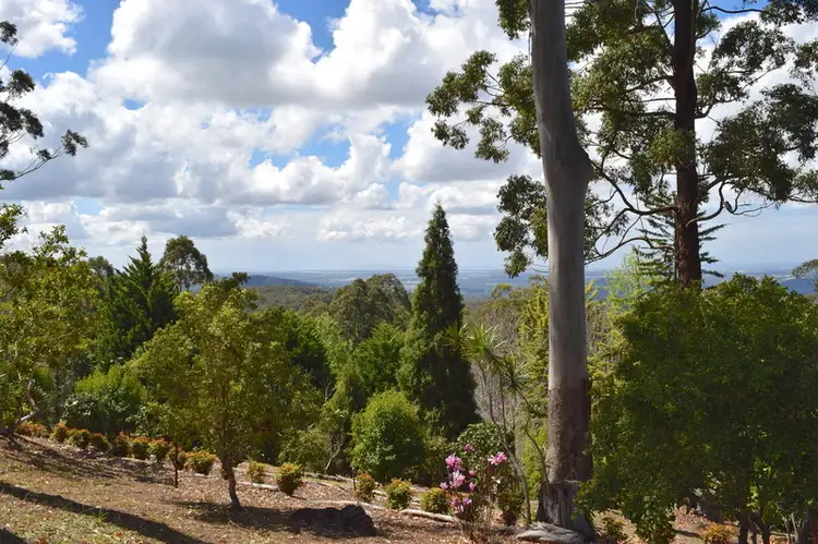 Fifth view of Homely house listing, 25 ST JAMES Court, Tamborine Mountain QLD 4272