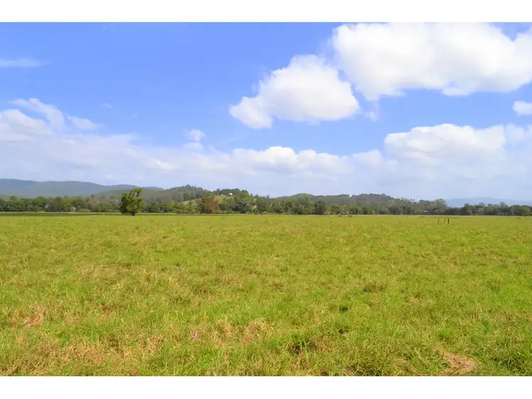 Fourth view of Homely rural property listing, 1456 Rollands Plains Road, Rollands Plains NSW 2441