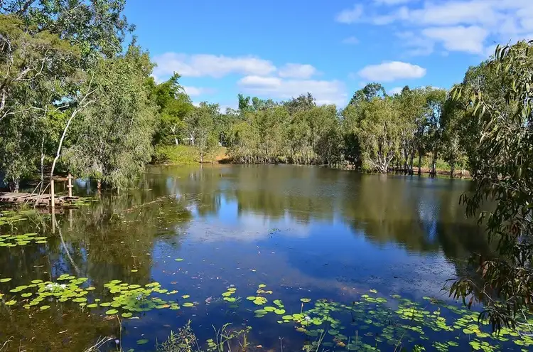 Fifth view of Homely rural property listing, 467 Emerald End Road, Mareeba QLD 4880