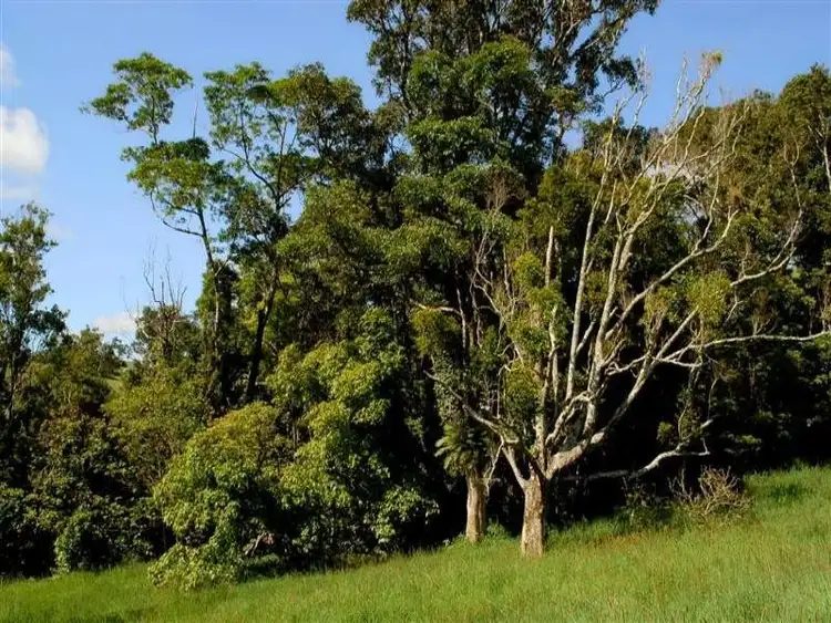 Third view of Homely rural property listing, LS236/Lot 1 Theresa Creek Road, Millaa Millaa QLD 4886