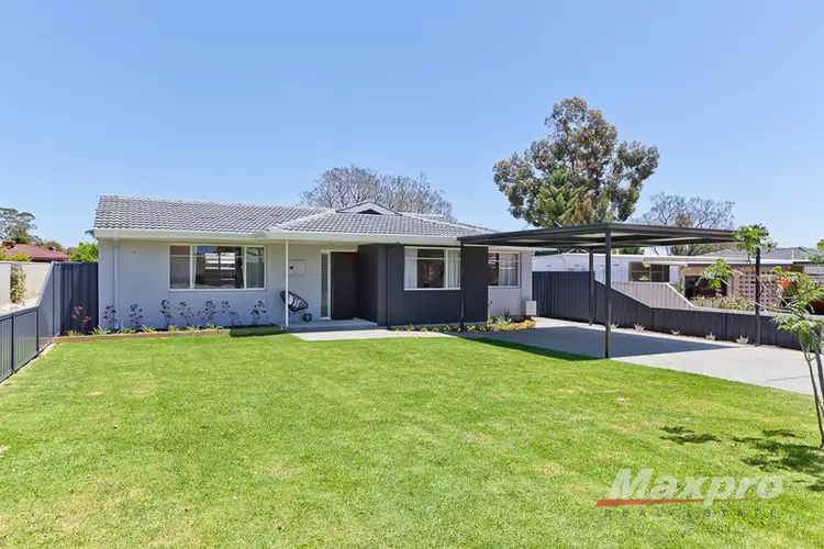 Main view of Homely house listing, 16 Devon Way, Lynwood WA 6147