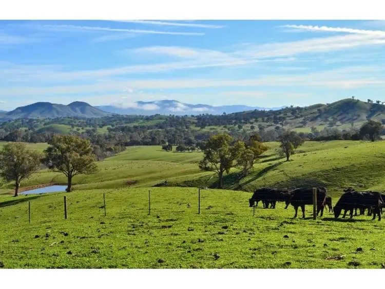 Main view of Homely rural property listing, 687 Monkey Gully Road, Mansfield VIC 3722