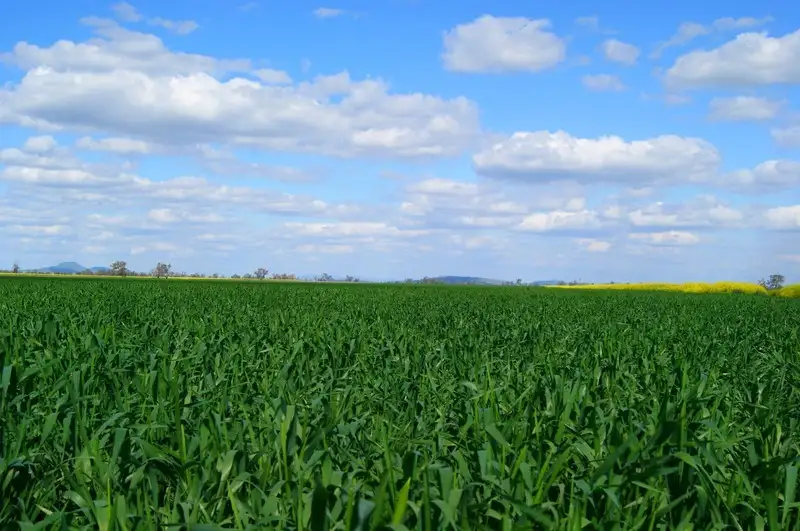 Main view of Homely rural property listing, 12323 Oxley Highway, Mullaley NSW 2379