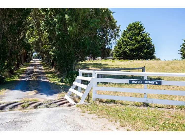 Main view of Homely rural property listing, 270 Chambers Road, Glenburnie SA 5291