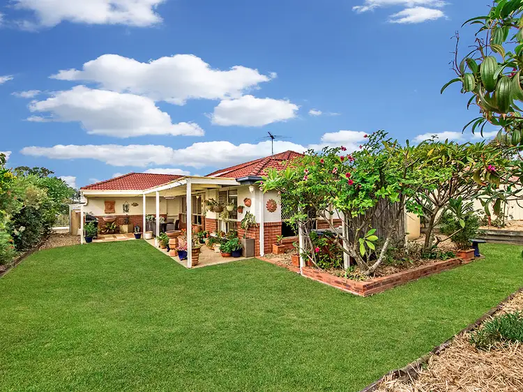 Main view of Homely house listing, 3 Evodia Way, Ormeau QLD 4208