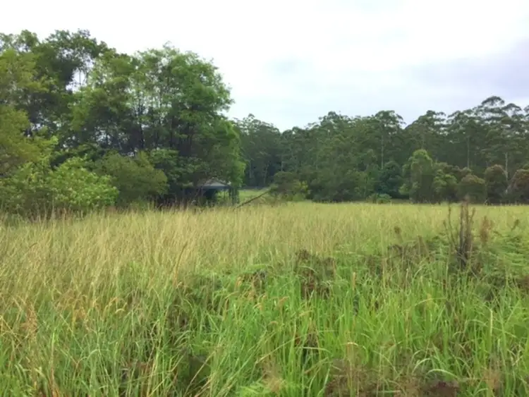 Fifth view of Homely rural property listing, 983 Pembrooke Road, Pembrooke NSW 2446