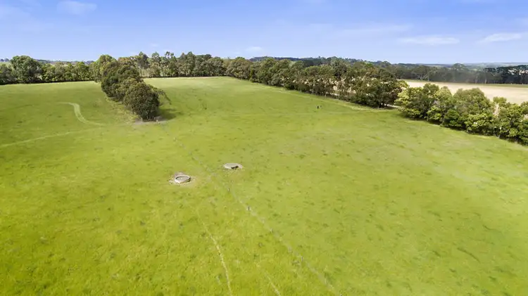 Fourth view of Homely rural property listing, 245 Christies Road, Elliminyt VIC 3250