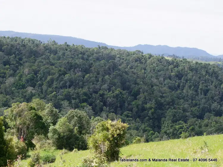 Fifth view of Homely rural property listing, LS871 Lot 363 Barter Road, Millaa Millaa QLD 4886