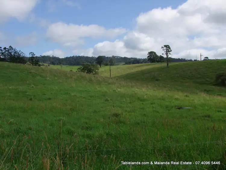 Sixth view of Homely rural property listing, F617 RN262 Pheasant Road, Millaa Millaa QLD 4886