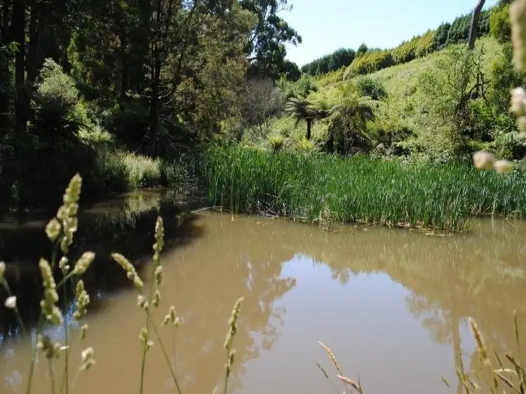 Seventh view of Homely land listing, 203 Belgrave Gembrook Road, Menzies Creek VIC 3159