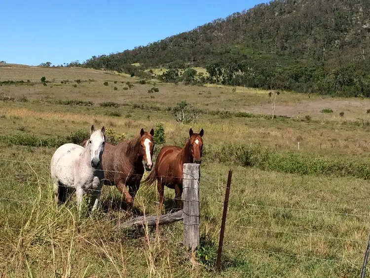 Seventh view of Homely land listing, LOT 2/213 Bungundarra Road, Bungundarra QLD 4703