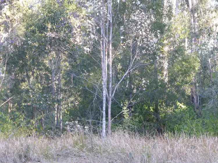 Seventh view of Homely rural property listing, LOT 2/264440, 55 Myrtle Forest Road, Myrtle Creek, Casino NSW 2470
