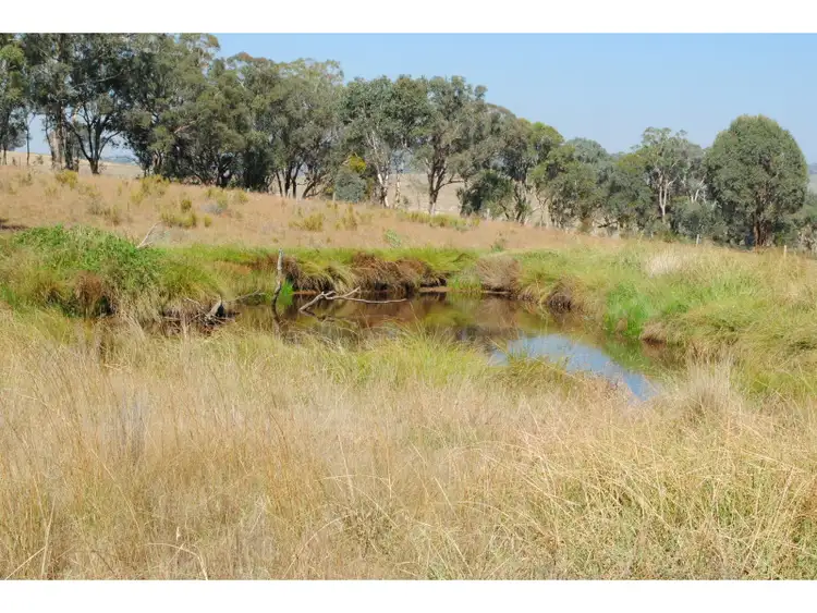 Second view of Homely rural property listing, 139 Post Office Lane, Orange NSW 2800