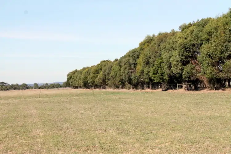 Second view of Homely rural property listing, 170 Tomahawk Creek Road, Irrewillipe VIC 3249