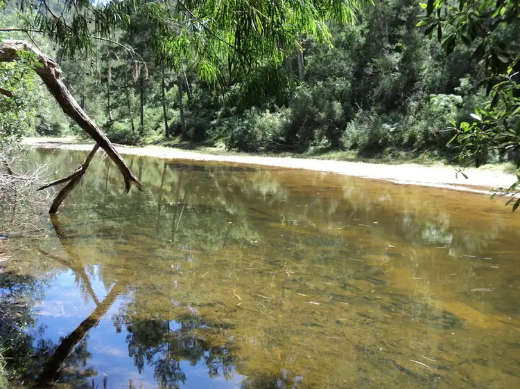 Fifth view of Homely house listing, 541 Hawks Head Road, Brogo NSW 2550