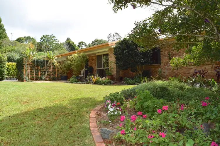 Main view of Homely house listing, 36 LICUALA DRIVE, Tamborine Mountain QLD 4272